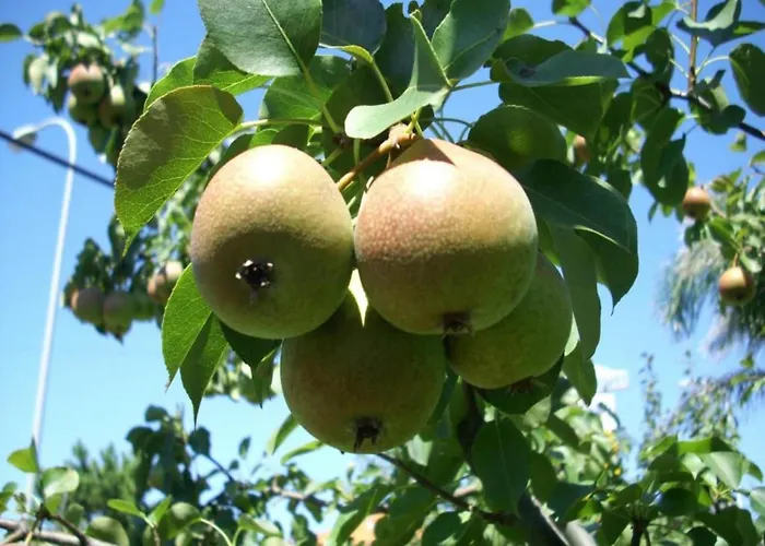 Βίλα Belvilla By Oyo Catro Faros *